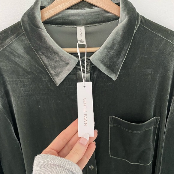 Gentle Fawn Velvet Dress - Picture 2 of 3